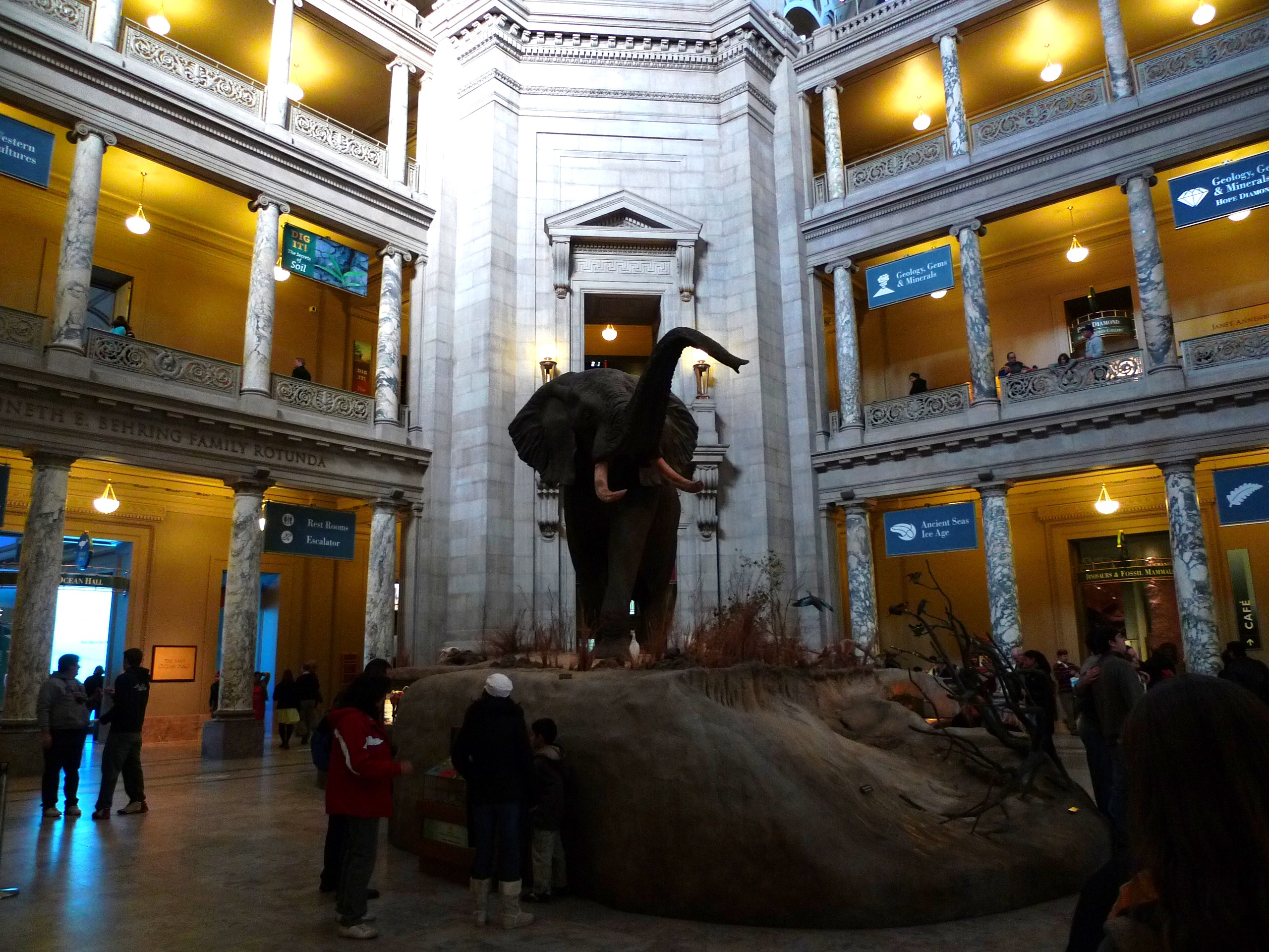 ワシントン スミソニアン 国立自然史博物館 ｊｔｂルックツアー ブログ隊が行く Looktour Net公式ブログ