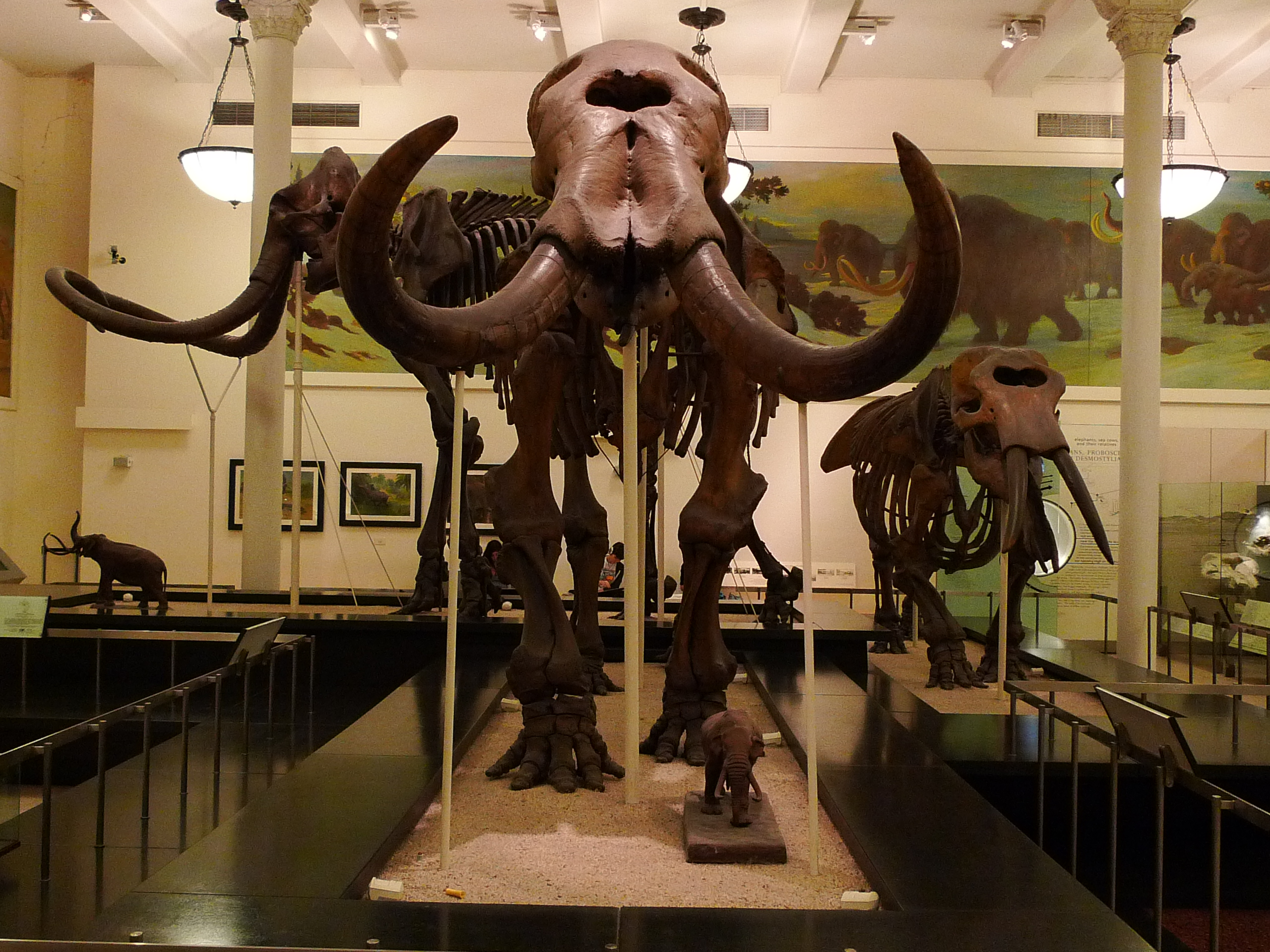 アメリカ自然史博物館 ｊｔｂルックツアー ブログ隊が行く Looktour Net公式ブログ