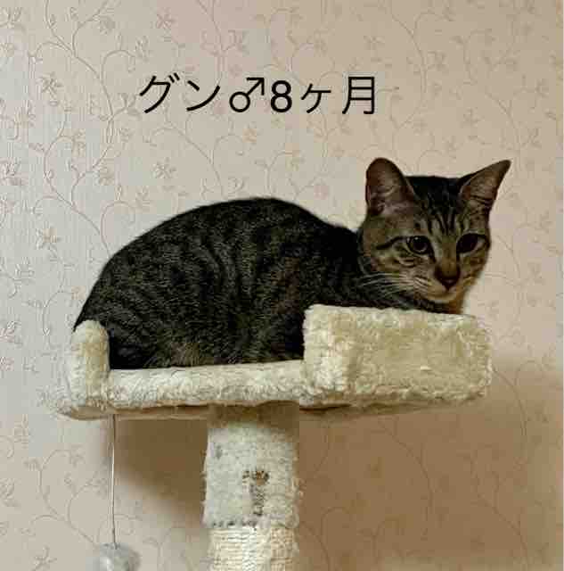 FullSizeRender