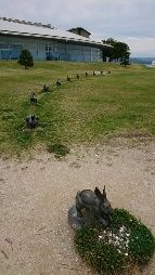IMG_20190602_28844-143x254