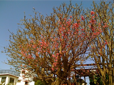 h210205-1
