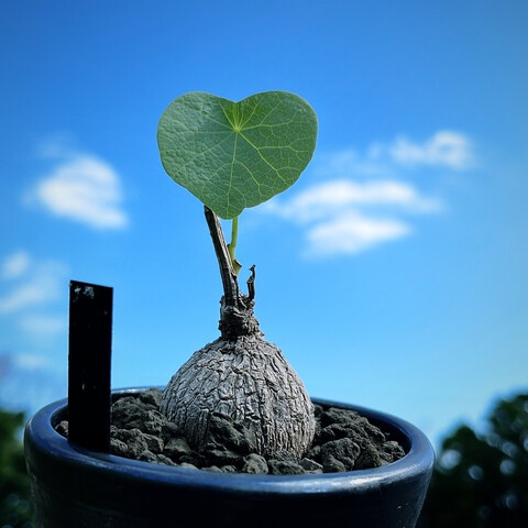 D2E8AD26-AC6A-4F0B-8F27-E4D80C60A23C