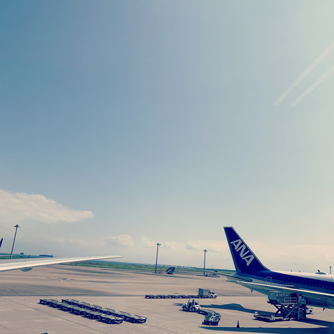 0F0059E8-09D4-4266-8202-C22D190E0646