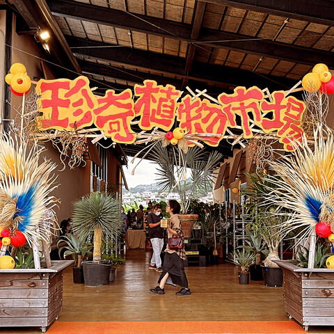 49EAA7CD-61E3-4395-BAB8-9DC4489B91FF