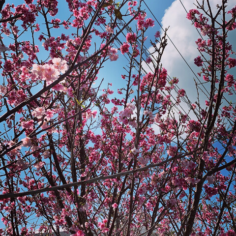 CE7472DC-1345-420D-96E5-4369C59DC156