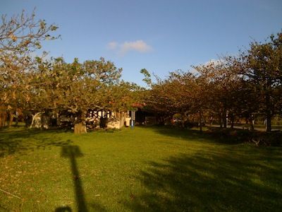 IMG_0521