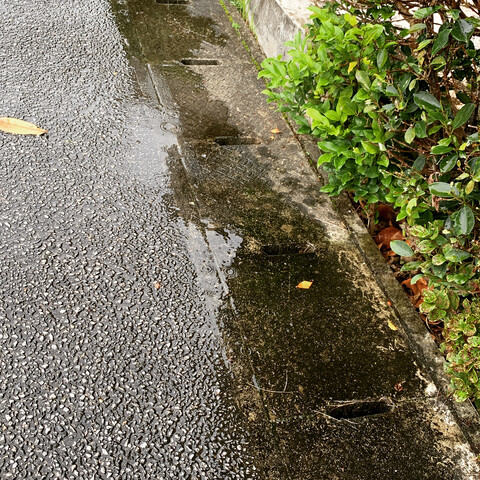 6B9F9E5B-4B40-40F1-95FC-ECD03480703F