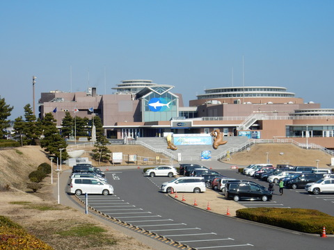 DSCN3276
