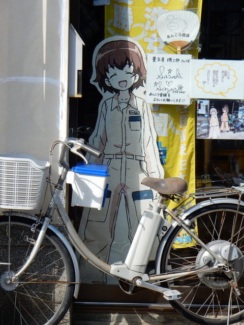 DSCN3497
