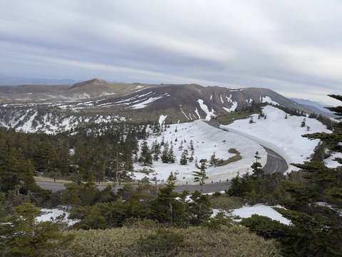 IMG_3020のコピー