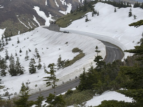 IMG_3018のコピー