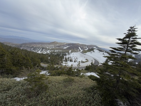 IMG_3019のコピー