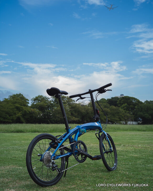 tern Verge N8 折り畳み自転車デビューやサブバイクに！ : LORO