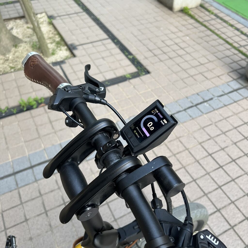MATE純正カラーディスプレイとヘッドライト 浅黒い e-bike