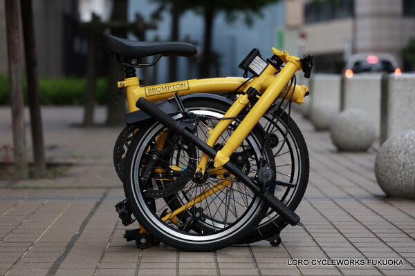 BROMPTON C Line バンブルビーイエロー入荷しました！ : LORO