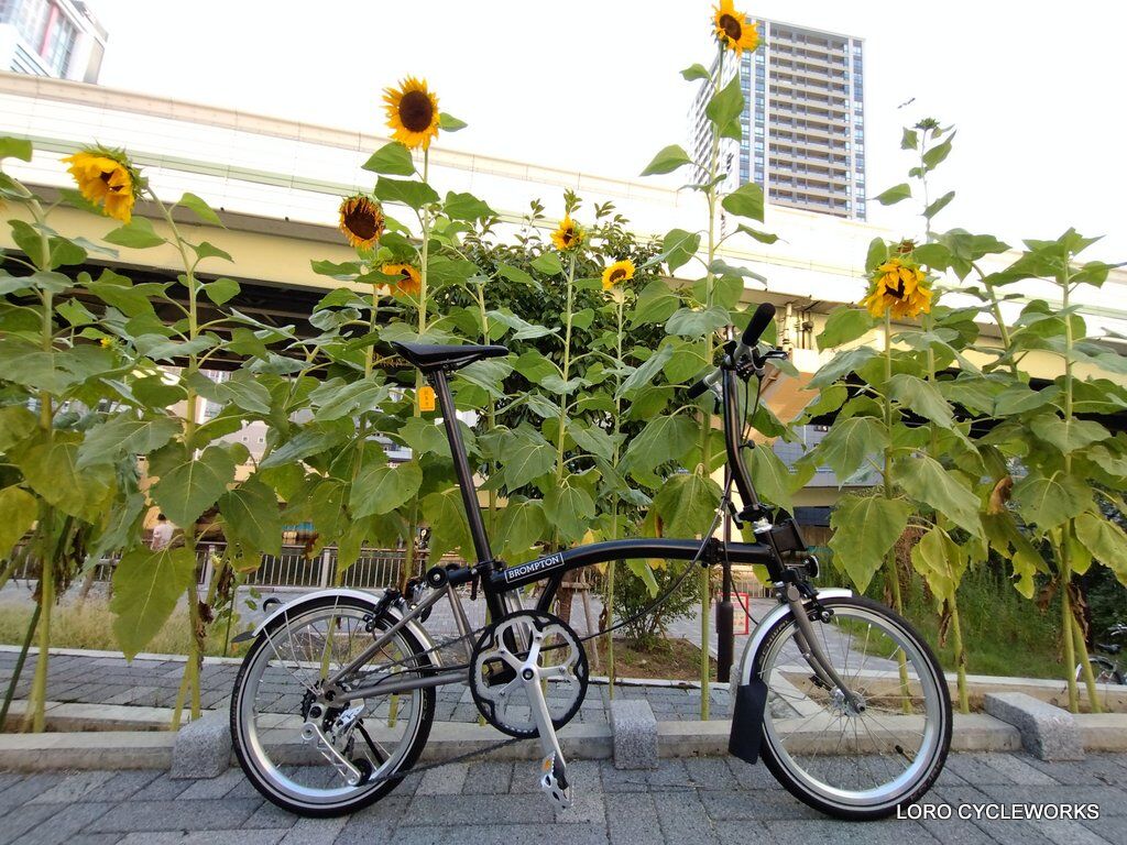 Brompton H&H 5speeds unibody cog ブロンプトン H&H 5 speeds unibody cog