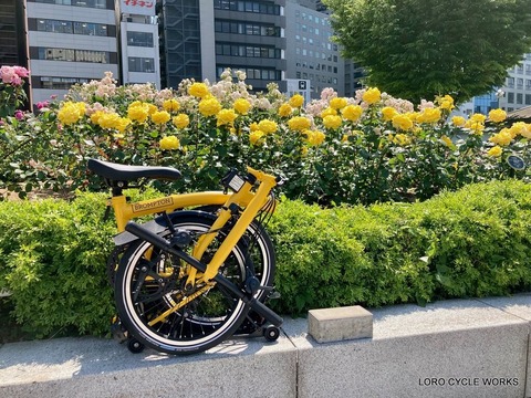 ブロンプトン　バンブルビーイエロー　S6R　今週限定お値引き ブロンプトン バンブルビーイエロー S6R 今週限定お値引き BROMPTON