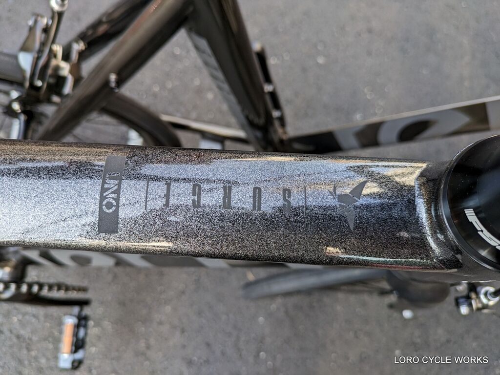 Ternのシングルスピード Tern Surge Uno : LORO CYCLE WORKS