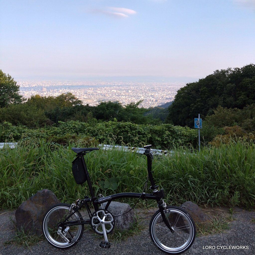 COSPAII B5 カスタム 折り畳み自転車 ブロンプトン風 スカイブルー