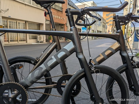 Ternのシングルスピード Tern Surge Uno : LORO CYCLE WORKS