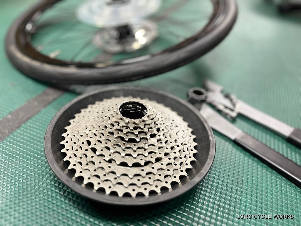 秋はカスタムの季節！Tern Verge P10をインチダウンで一味違う走りに