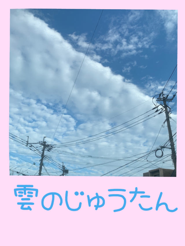 雲のじゅうたん 寒くなりますよ 朝の光をあびて 笑顔で ノw てへっ 穏やかな日々です まんまるブログ 雲のじゅうたん 寒くなりますよ 朝の光をあびて 笑顔で ノw てへっ 穏やかな日々です まんまるブログ