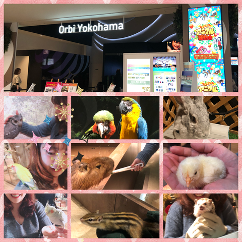ABE87C88-6C48-4925-9895-163206995473