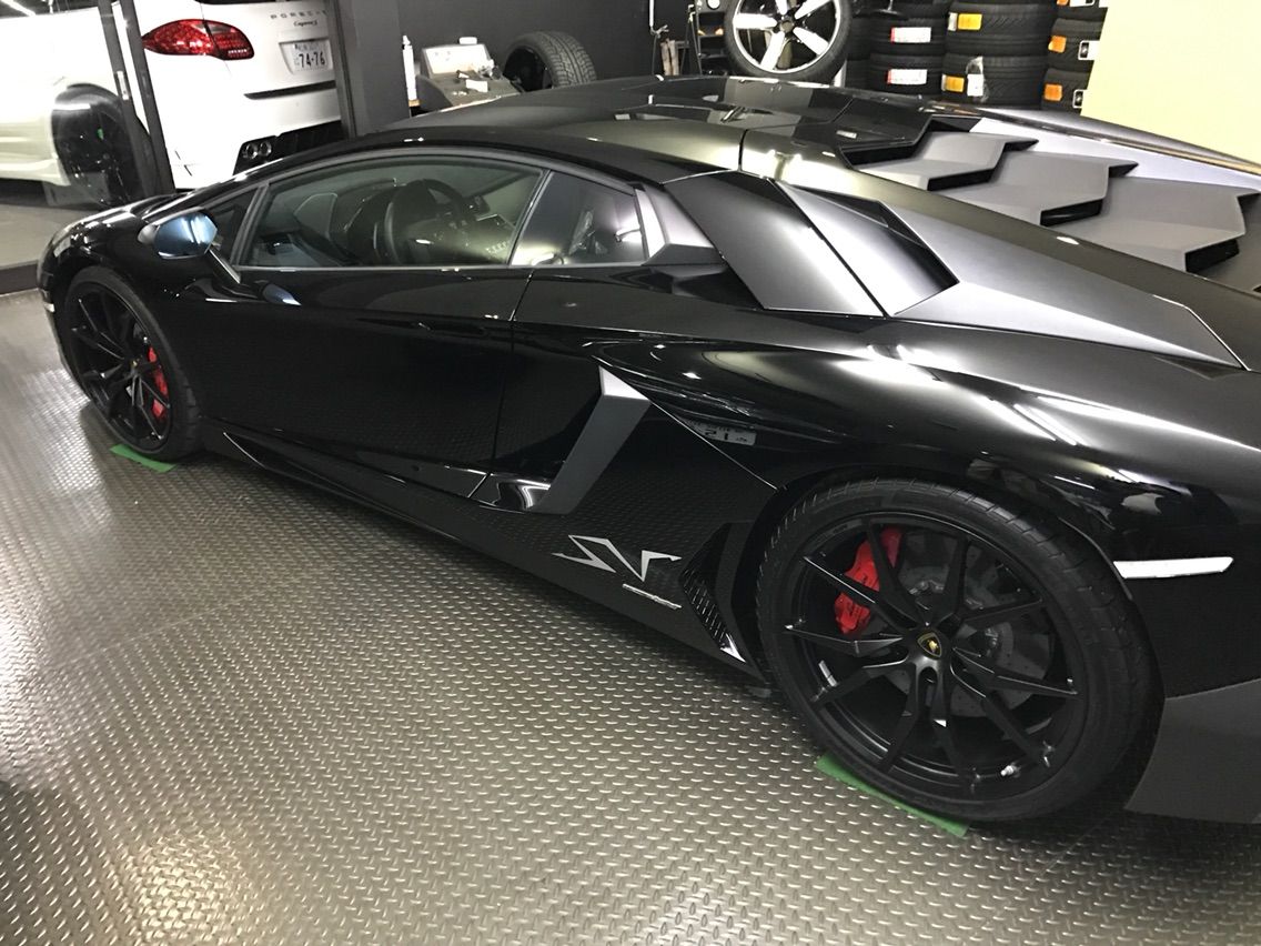 ゴキブリカー 小犬と共に暮らす素敵な日々