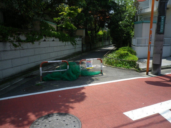 暗渠ハンター 明神様と龍神様 明神池のこと 毎日暗活 暗渠ハンター 旧 東京peeling