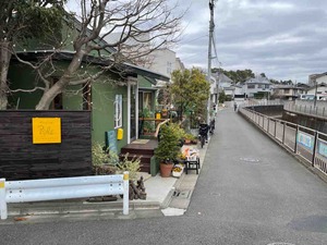 IMG_1981