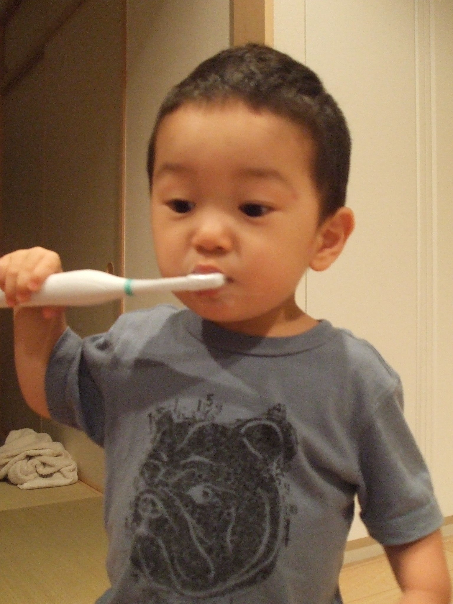 むしばおばけ Lotus In Bloom