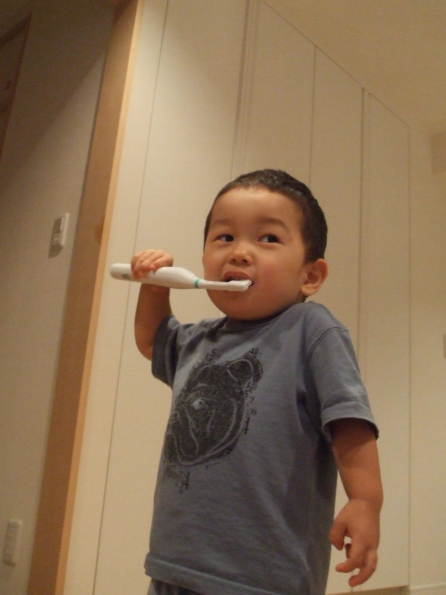 むしばおばけ Lotus In Bloom