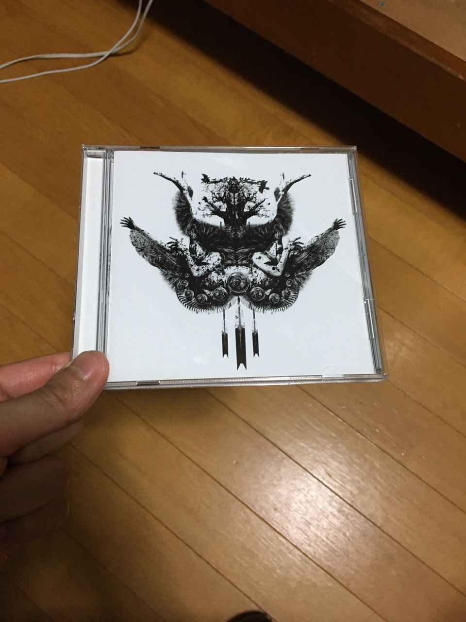 DIMLIM - VARIOUS : ぽつねん。