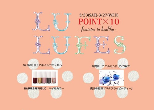 ルルフェスSELVAちらし
