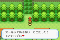 Dayandnight日本語版fr導入パッチ Bprj Dayandnight V1 0 公開 P K M N Remodeling ポケモン改造 Dayandnight日本語版fr導入パッチ Bprj Dayandnight V1 0 公開 P K M N Remodeling ポケモン改造