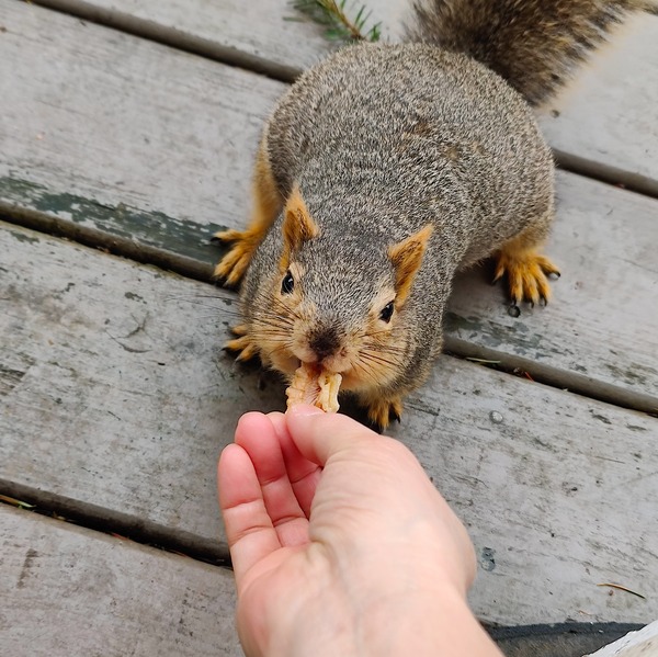 IMG_20240218_111951__01