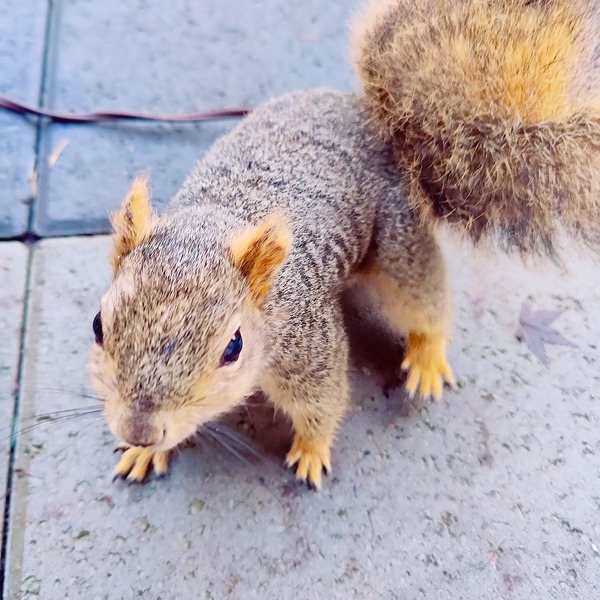 IMG_20241223_092856__01