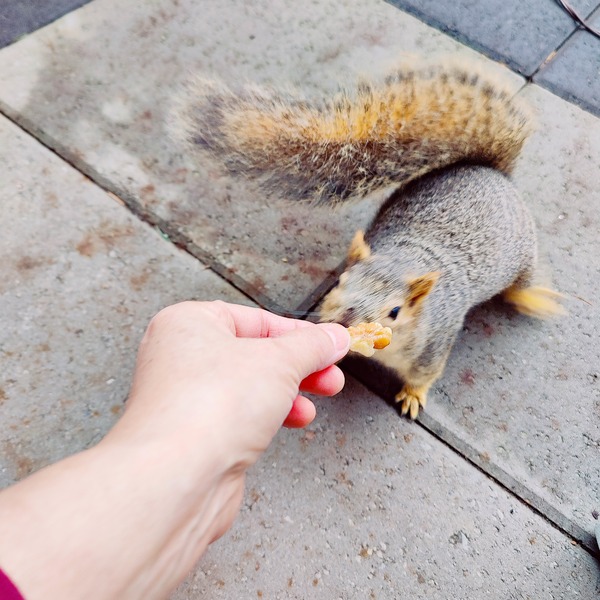 IMG_20241220_121850__01