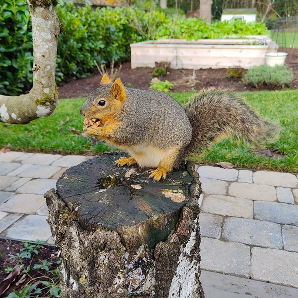 IMG_20231213_120128