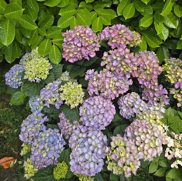 20260627_115425