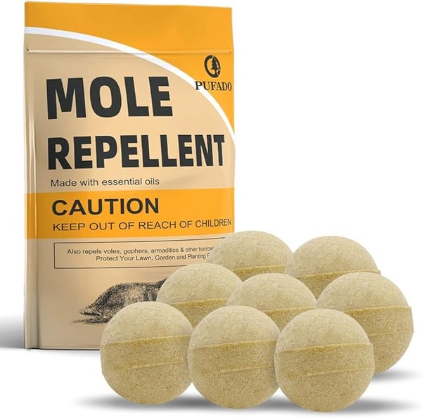 61zBK8R2CPL._AC_SX679_