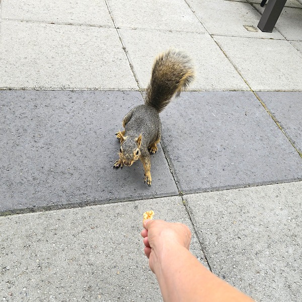 20260815_140946