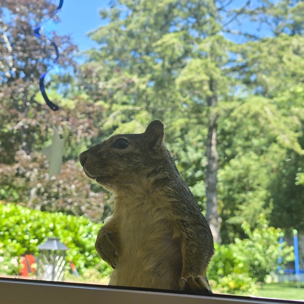 20260707_120457