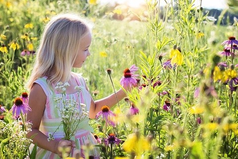 little-girl-2516578_640