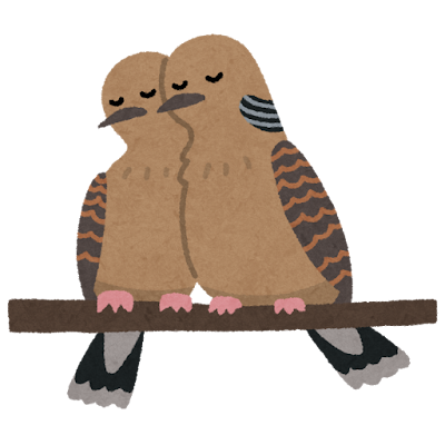 bird_kijibato_tsugai (1)
