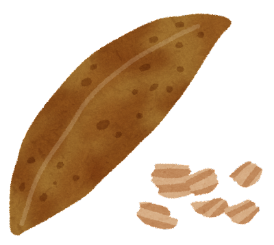 「え、待って。カツオをカラカラに乾かして削って煮たら美味いスープ取れるんじゃね？」←これ