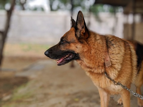 farzan-lelinwalla-AZ-XcbtrTto-unsplash