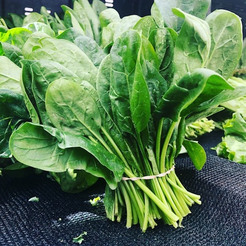 ほうれん草を一番美味しく食べる料理法と言えば？