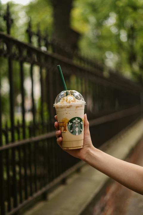 shche_-team-9b6eFSZmpYg-unsplash