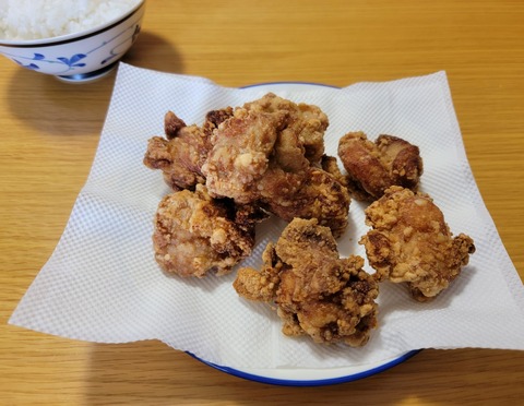 【画像】こういう鶏の唐揚げでいいんだよ🤗🍗